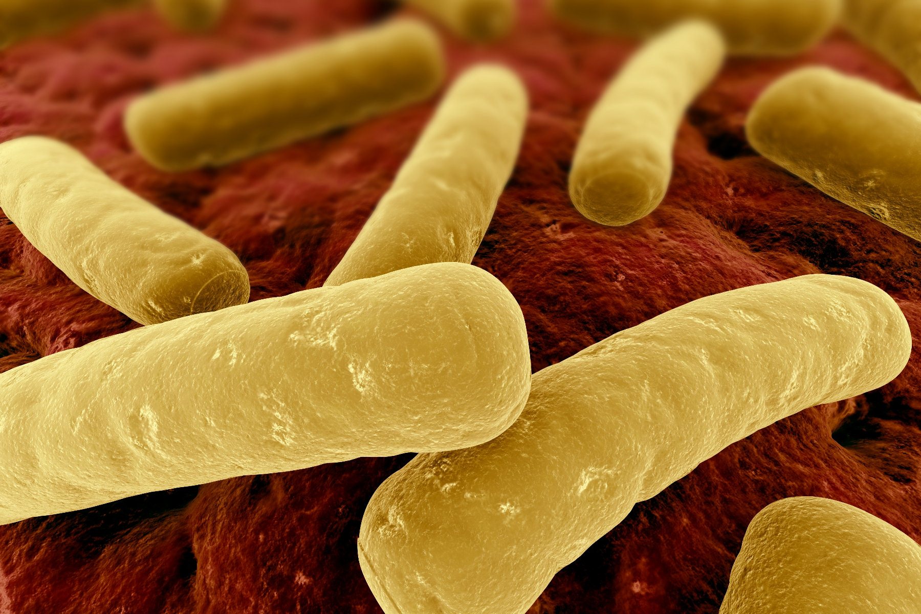 Clostridium difficile Kontrolle und Desinfektion