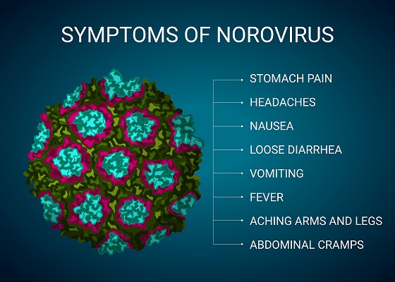 Norovirus Disinfection and control